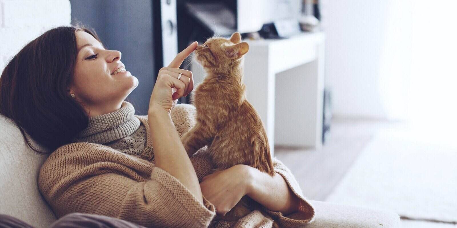 young woman wearing warm sweater is resting with a cat