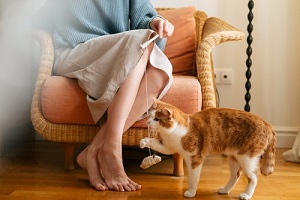 young woman with in skirt and knitted sweater plays with cat with mouse on string