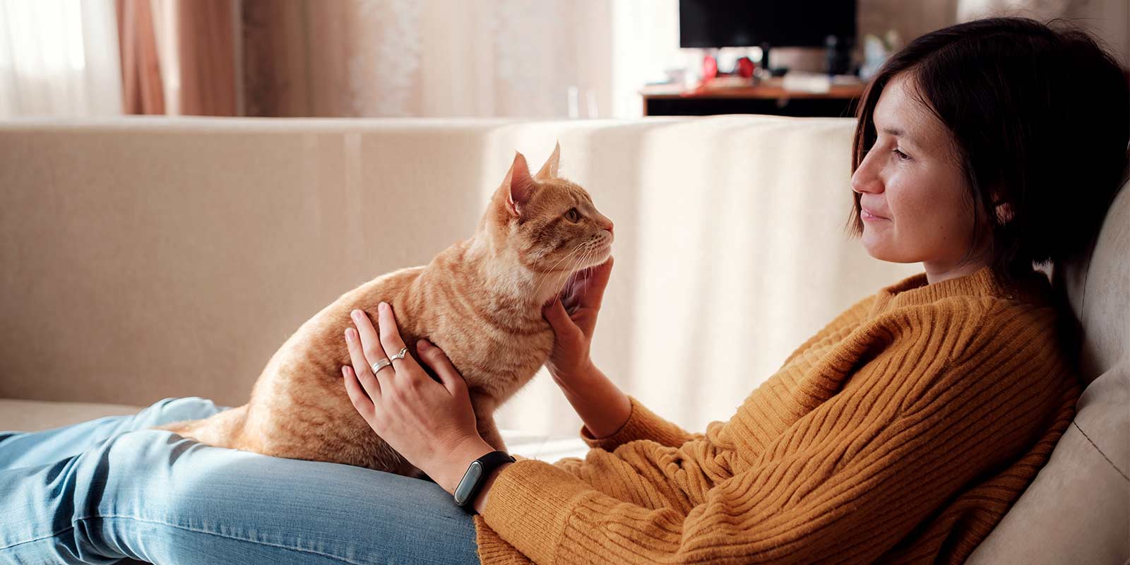 women cat sitter petting a cat on the sofa