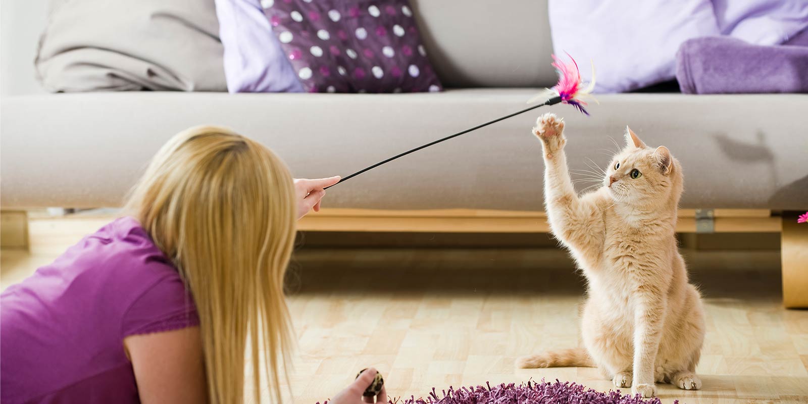 cat sitter meeting a cat and playing with it