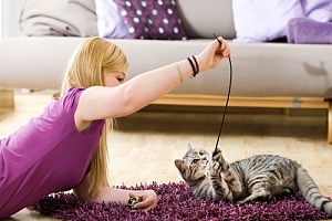certified pet sitter playing with cat
