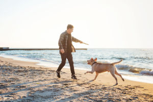 A young man playing with his dog at beachside at sunset