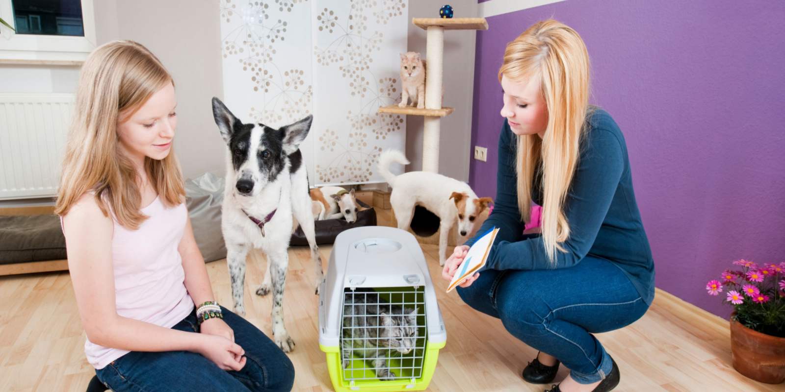 A woman and a professional female pet sitter with two pet dogs and a caged pet cat inside her house