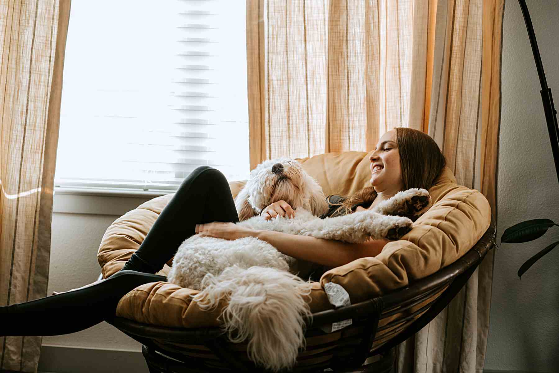 pet sitter in chair cuddling dog