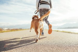 A woman and her dog on a morning jog