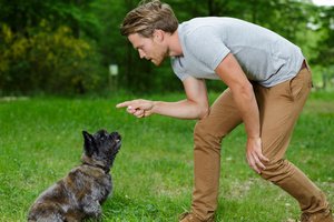 A man giving a command to his pet dog