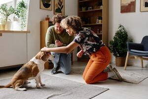 A couple preparing a pet dog for overnight pet sitting