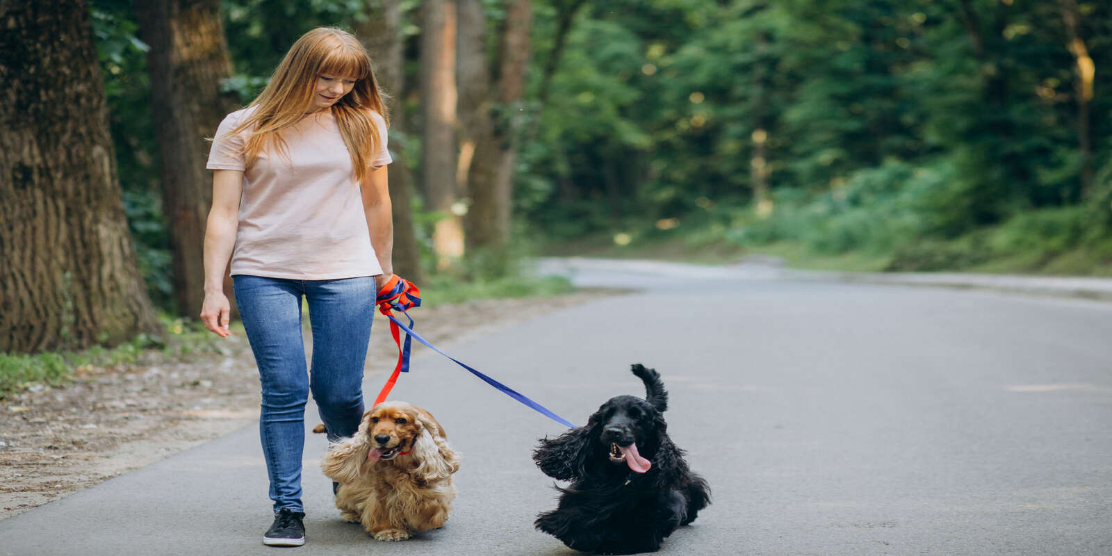 A female pet sitter walking two dogs