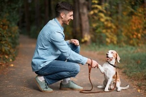 man shaking hand with dog during walk