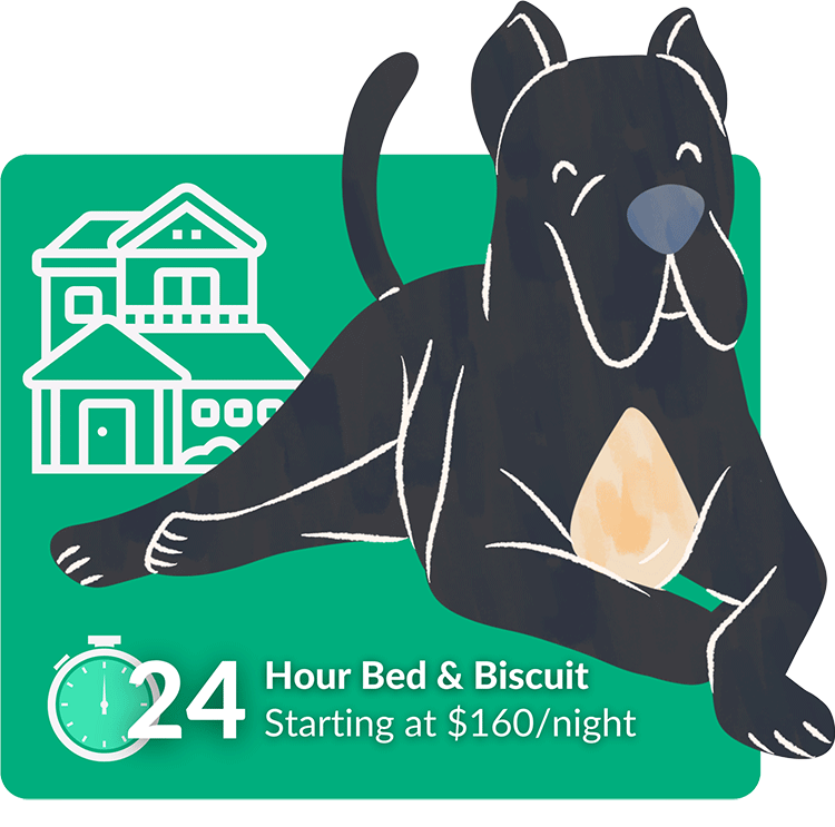 Bed and Biscuit Graphic
