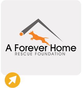 Fairfax County Animal Shelter Icon