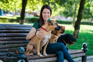 Fairfax, VA dog sitter on bench and enjoying in park with dogs