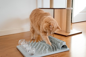 Orange tabby cat playing with rubber treat mat