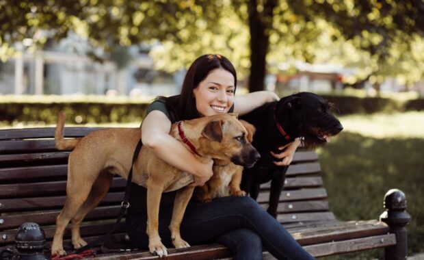 Manassas, VA Pet Sitter On Bench With Dogs