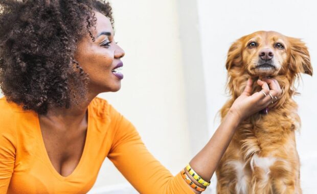 african american girl with curly hair sitting outdoor stroking her dog in Northern Virginia