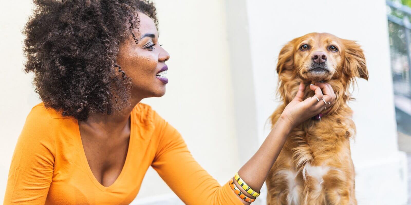 Overnight Pet Sitting Etiquette Dos and Don'ts for Pet Owners and