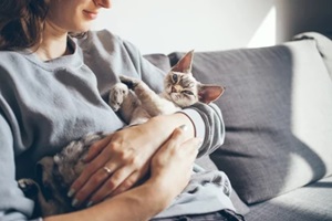 close up of a woman in casual clothes sitting on the sofa at home and holding cute sleepy cat