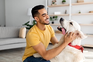 northern va dog sitter petting lab