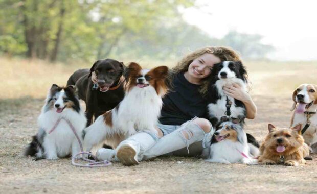 Smiling Woman Pet Sitter Sitting on Ground with Dogs