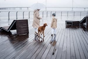 A Person and Child Walking with Dog near Ocean