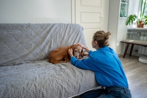 Woman Soothing Dog Lying on Couch with Care