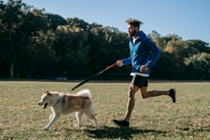 dog running with owner