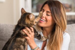 Female Cat Sitter playing with a kitten in a Fairfax home
