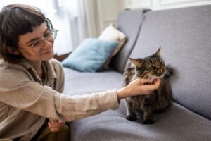 Female Cat sitter playing with a cat on a couch