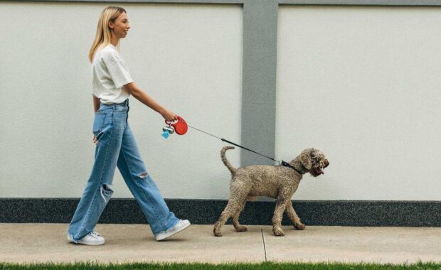 side view of a blond woman taking the dog for a walk