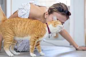 owner is kissing and hugging her ginger cat with love and care after rescuing him from the pet shelter for sitter boarding service