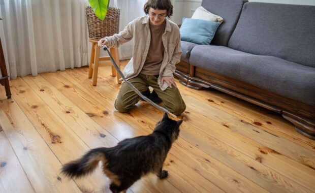 pet caretaker playing with cat on floor at home - overnight pet sitting