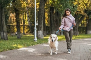 young woman walking with guide dog in park