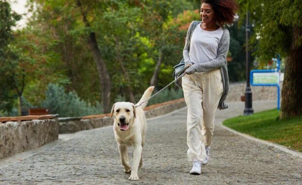 healthy lady running in the morning with her dog in park