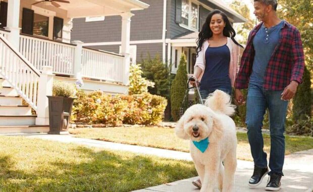couple walking dog along suburban street