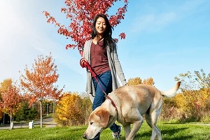 dog walking, exercise and health with Asian woman in park for bonding, break or obedience