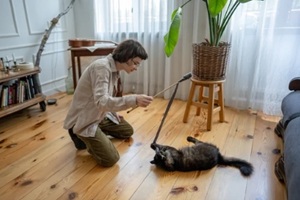 pet caretaker playing with cat on floor at home