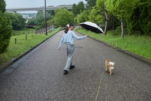 asian girl walking with her dog