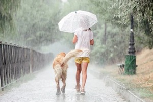 girl with golden retriever dog in rainy day